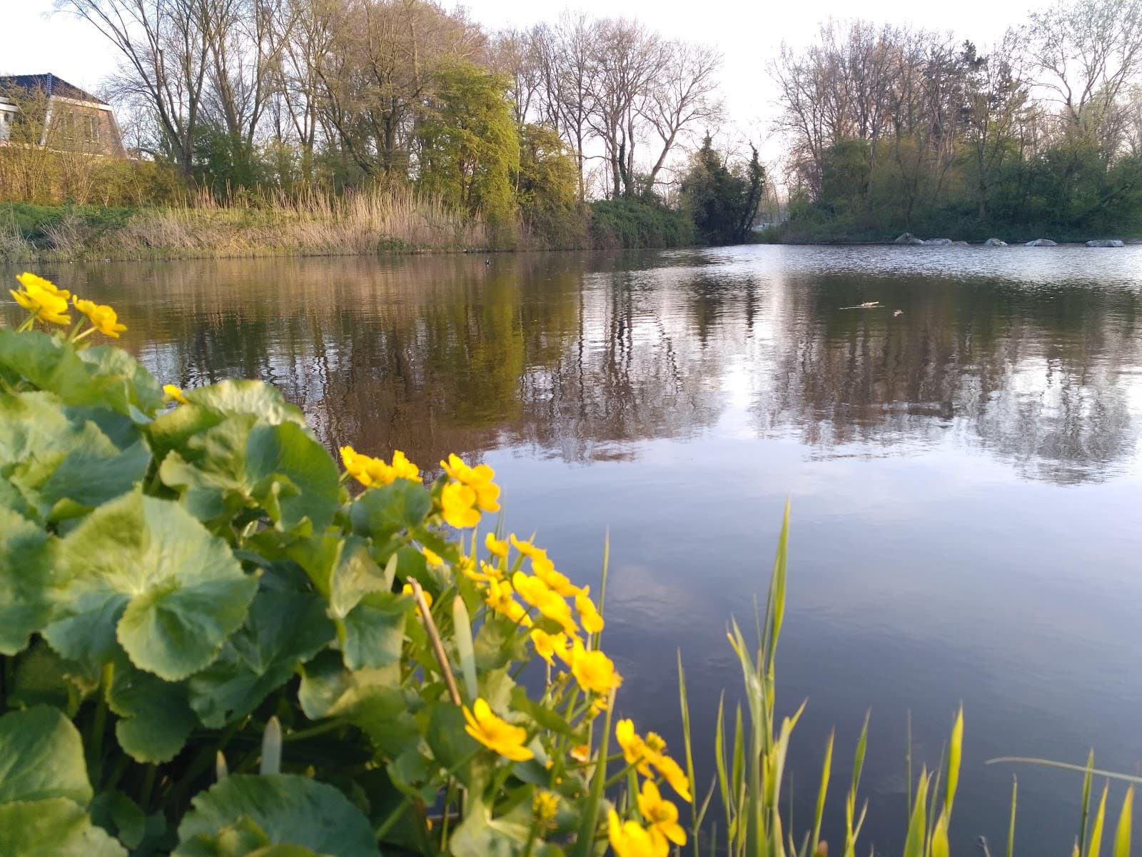 Castricum aan Zee - Image 1
