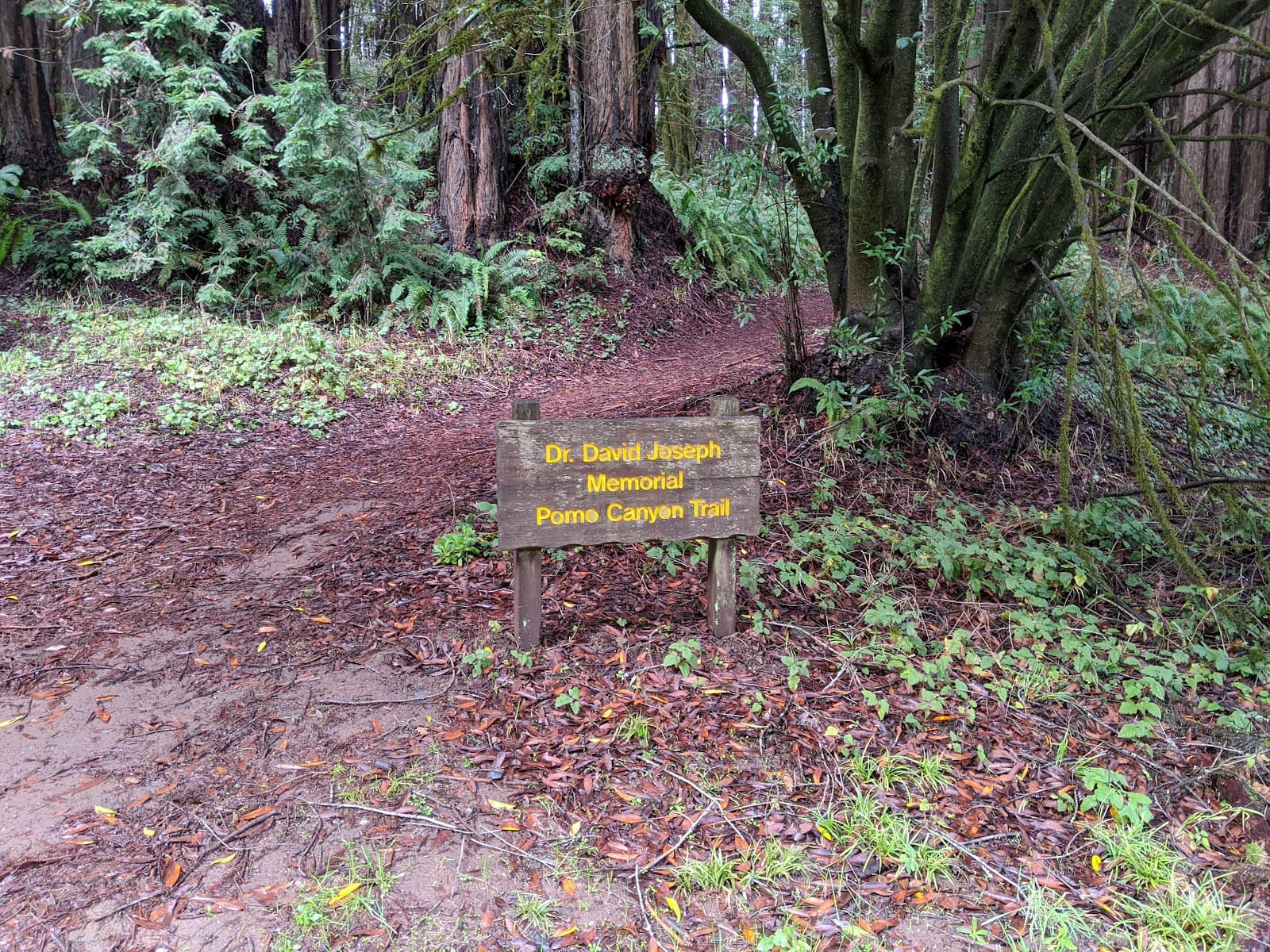 Pomo Canyon Trail - Image 1
