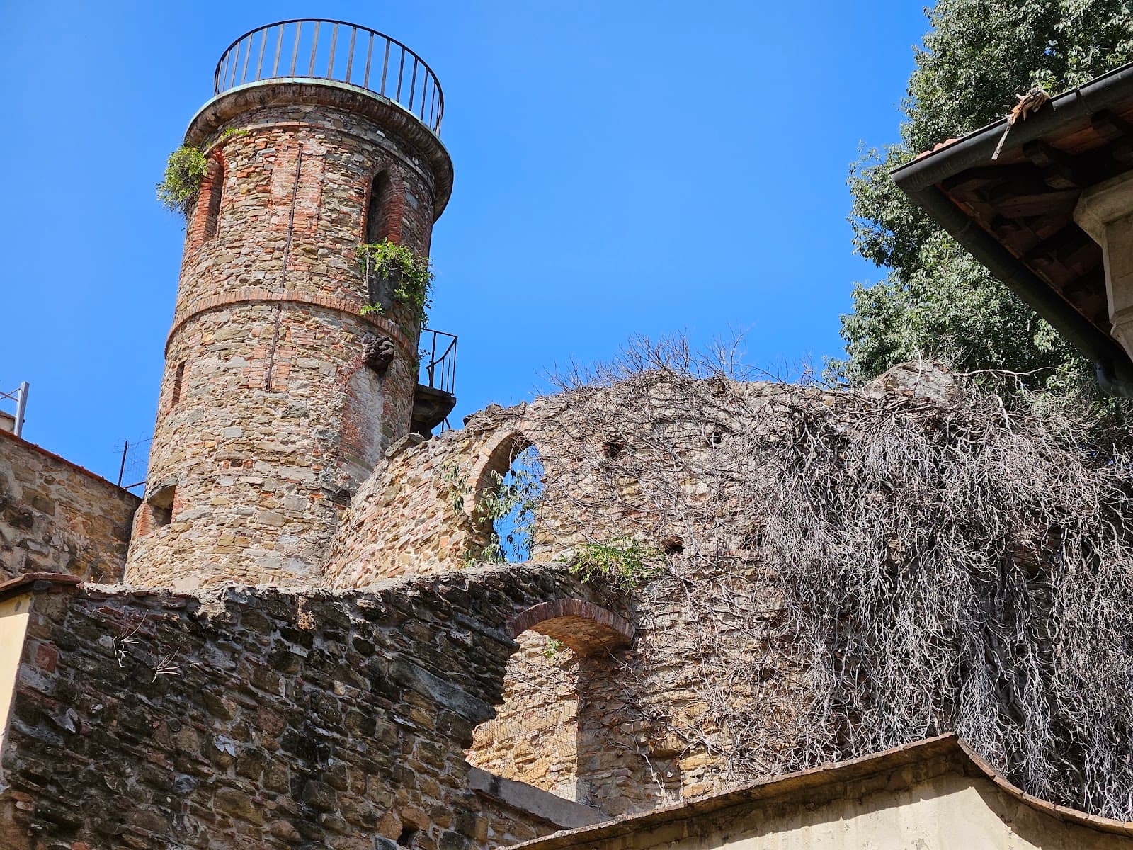 Orti Oricellari - Image 1