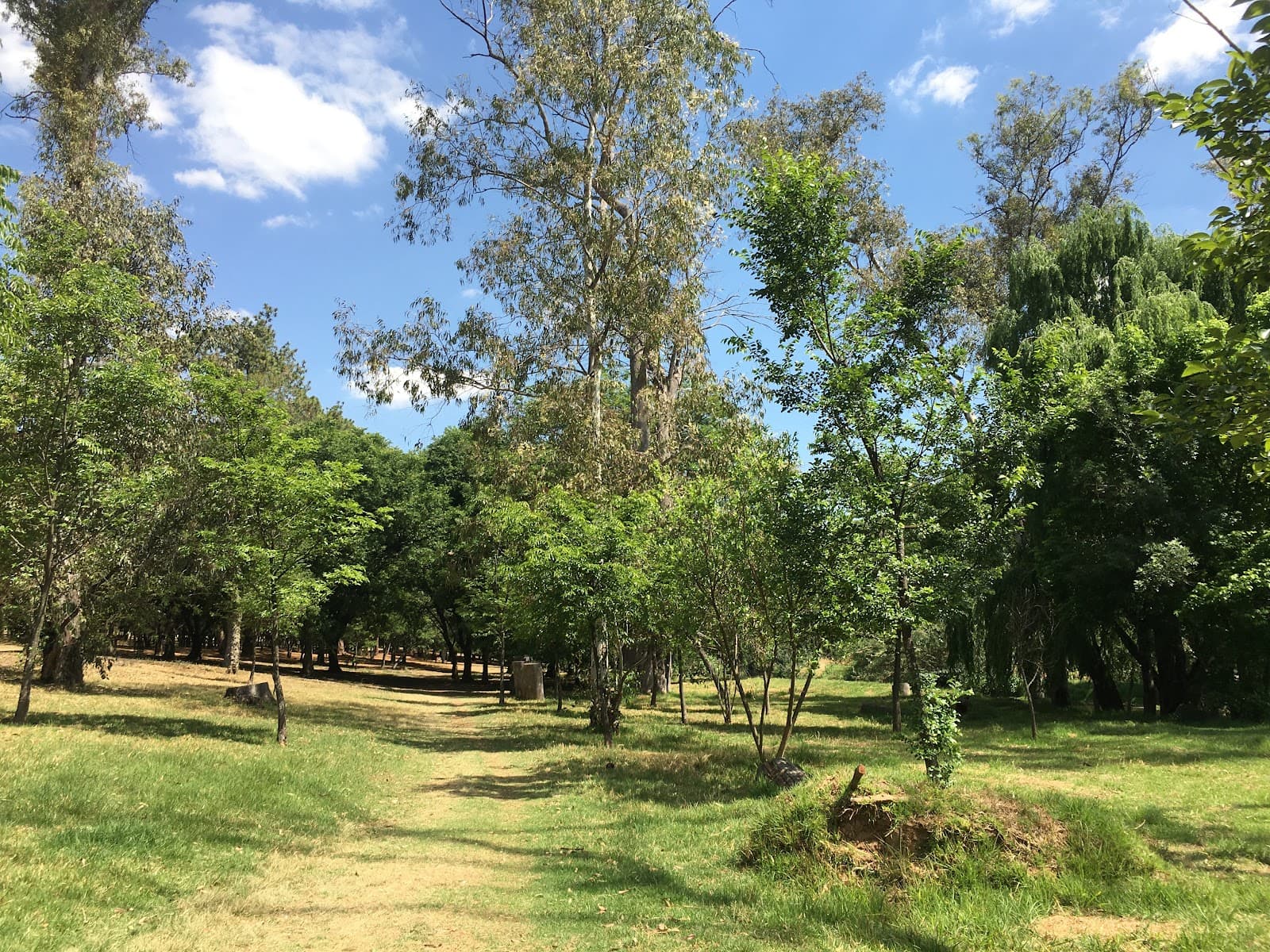 Field and Study Centre - Image 1