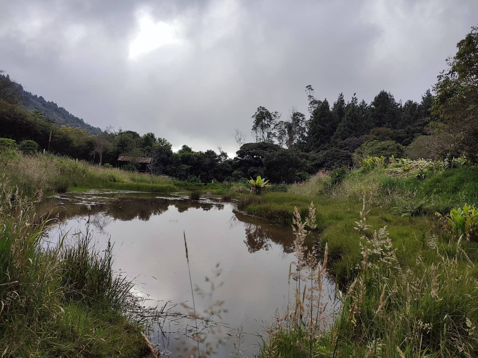 Volcan Galeras Vista