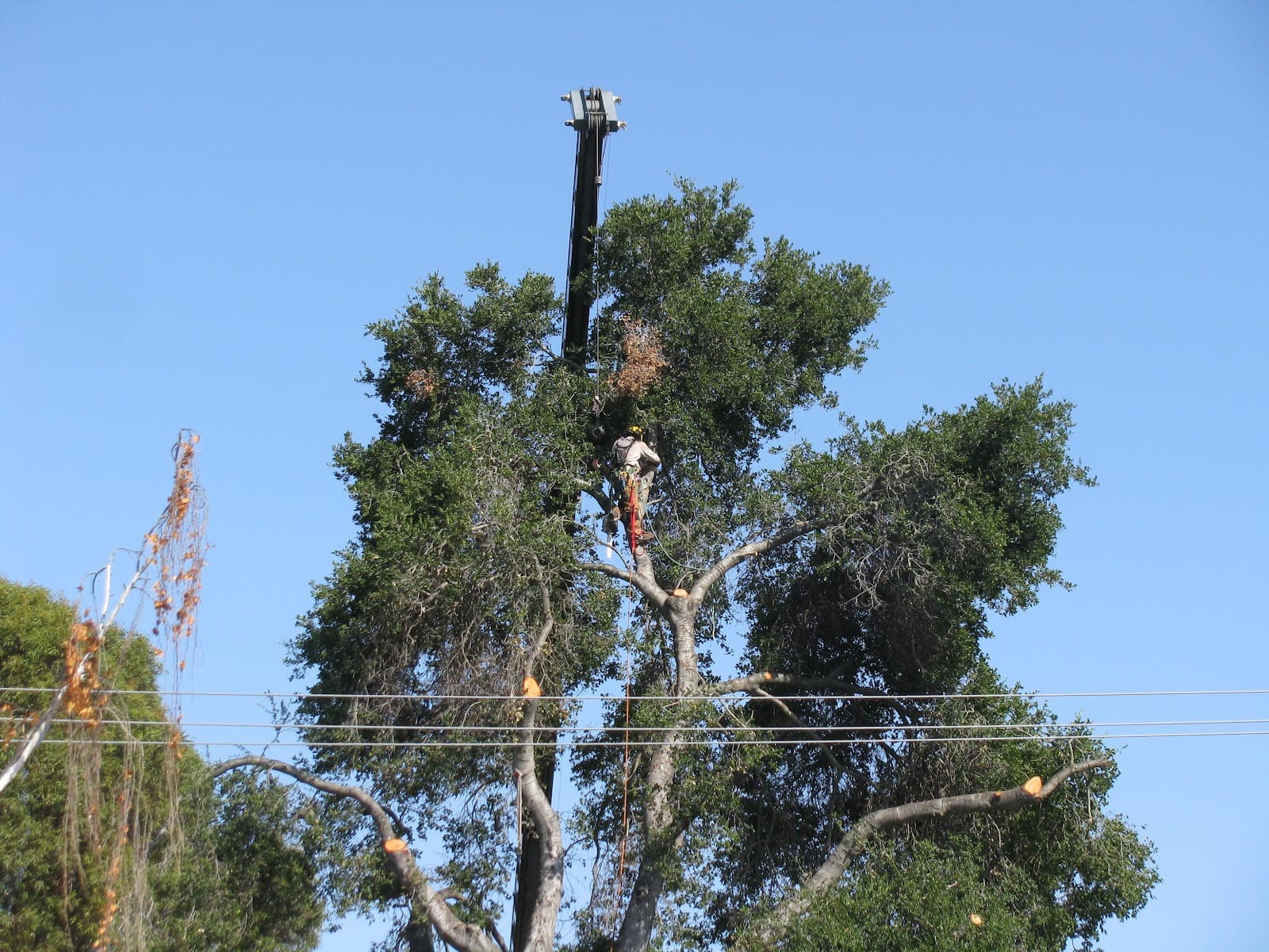 Rancho Rinconada neighborhood - Image 1