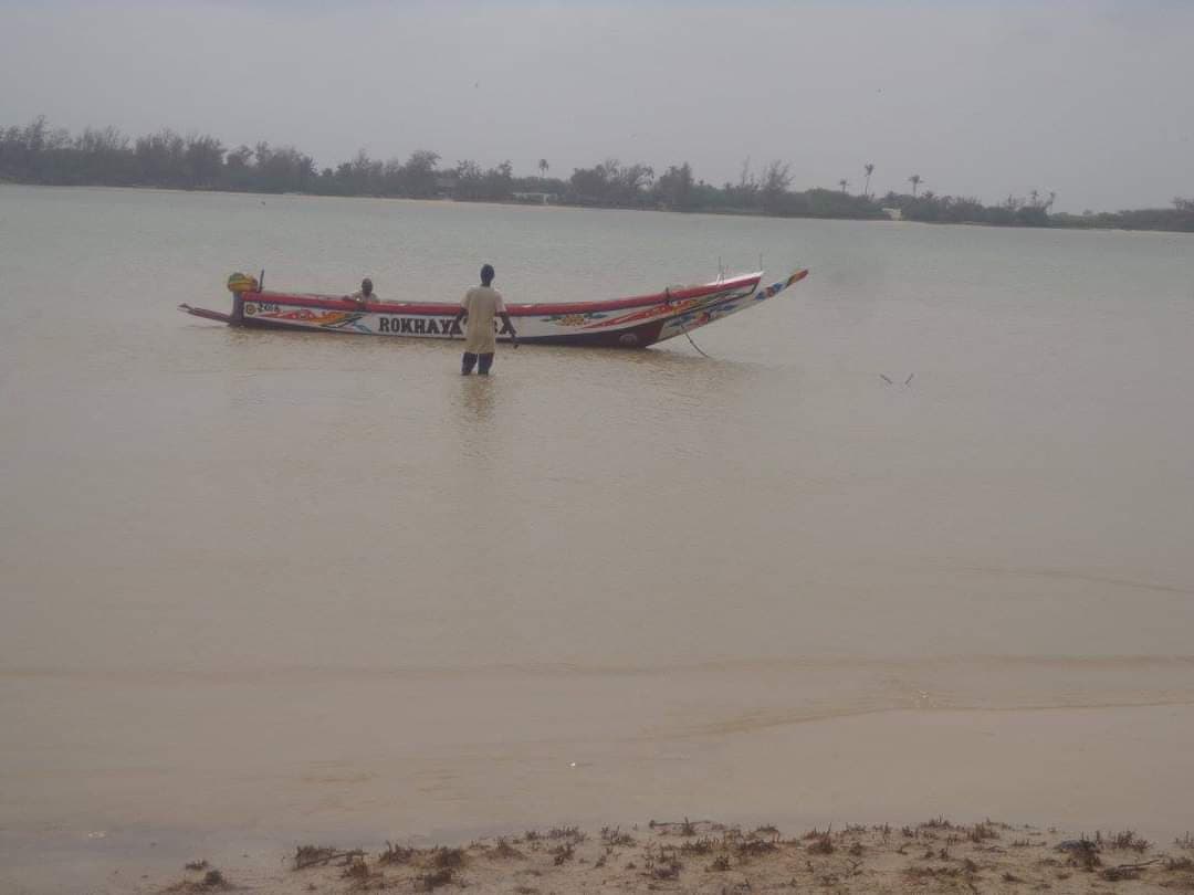 Langue de Barbarie National Park Saint-Louis - Image 1