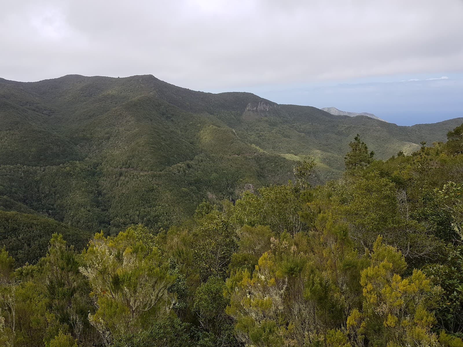 Monte del Agua trail - Image 1