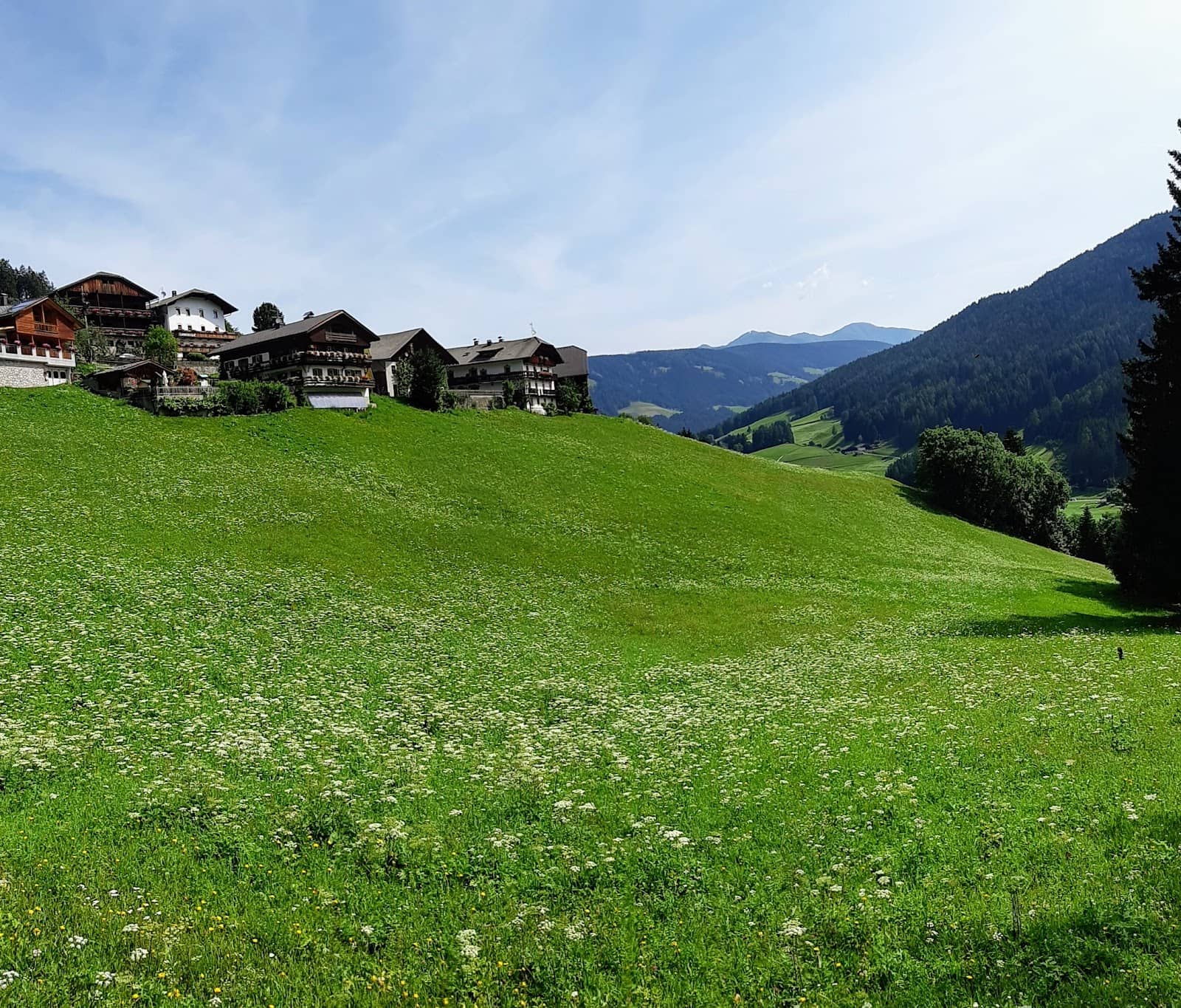 The Famous Lakeside Bench