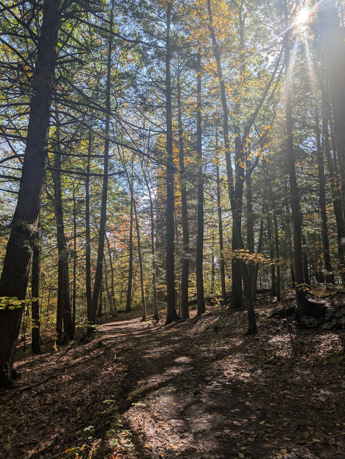 Historic Brattleboro Retreat Grounds