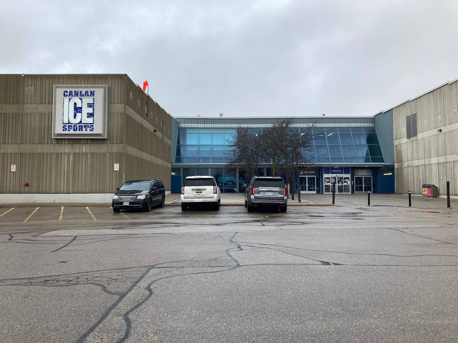 Adult Learn to Skate Program