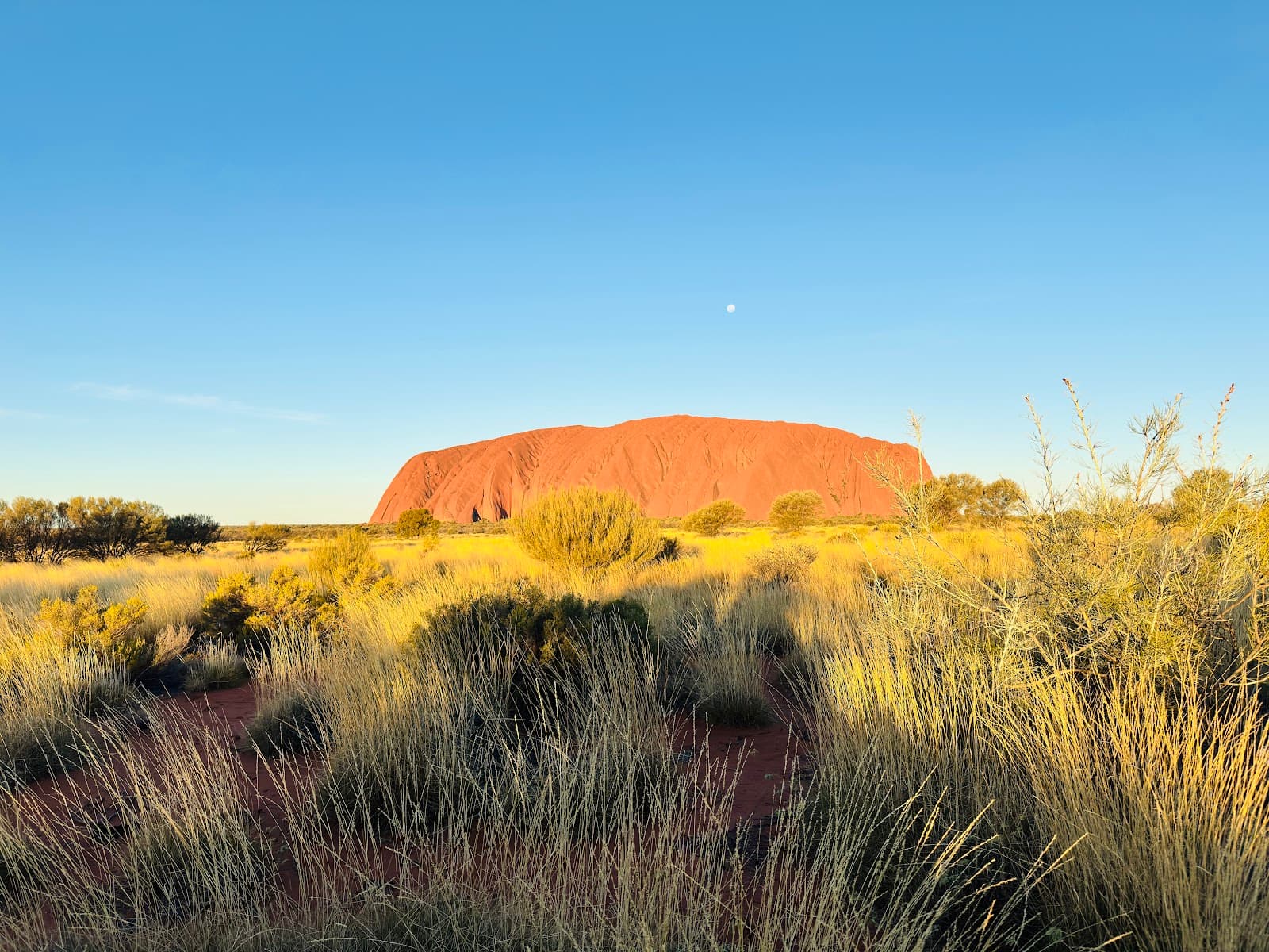 Uluru Sunset Viewing Area - Image 1