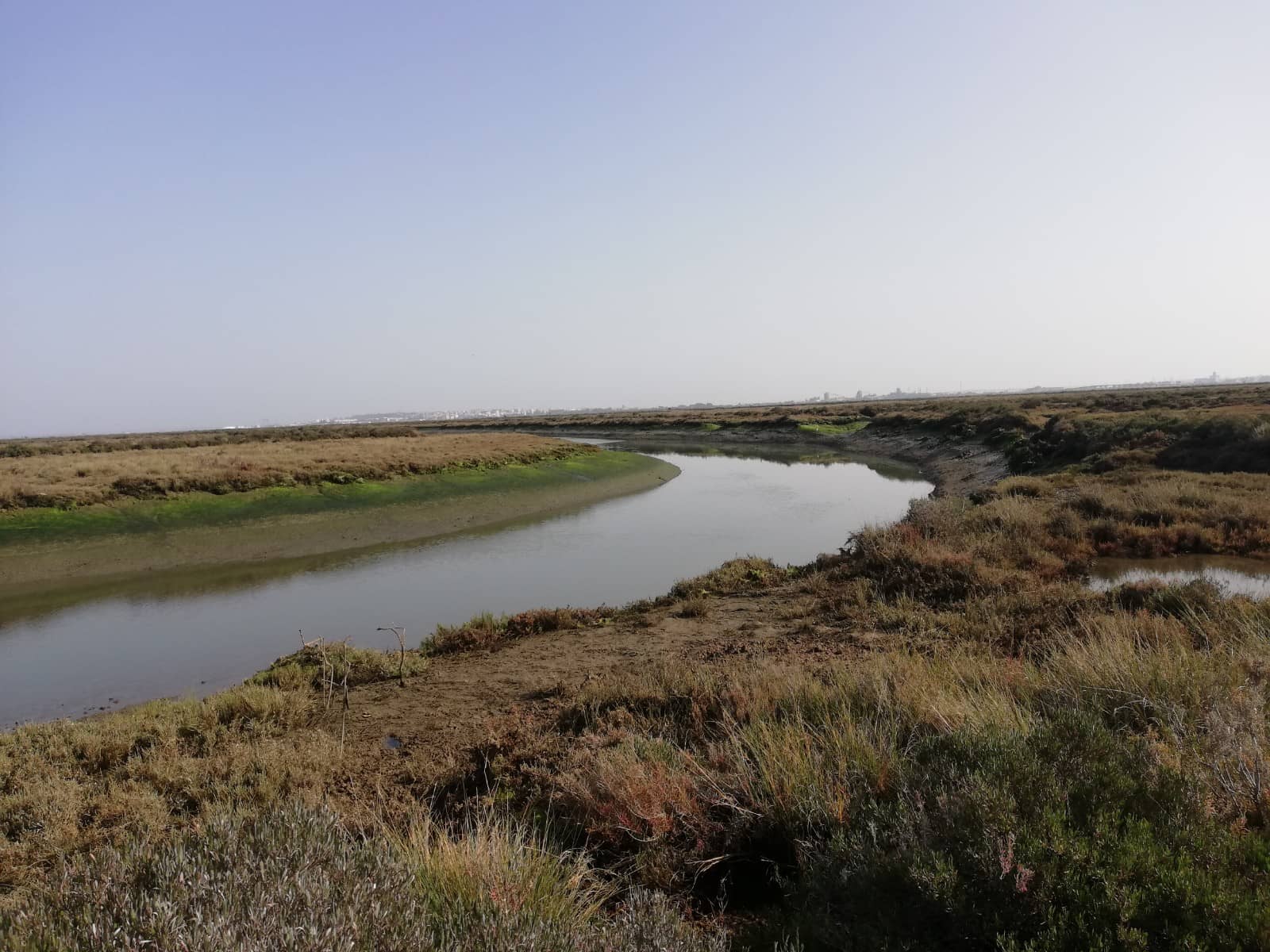 Bird Photography Opportunities