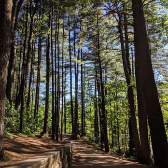 Livingston Park - Image 1