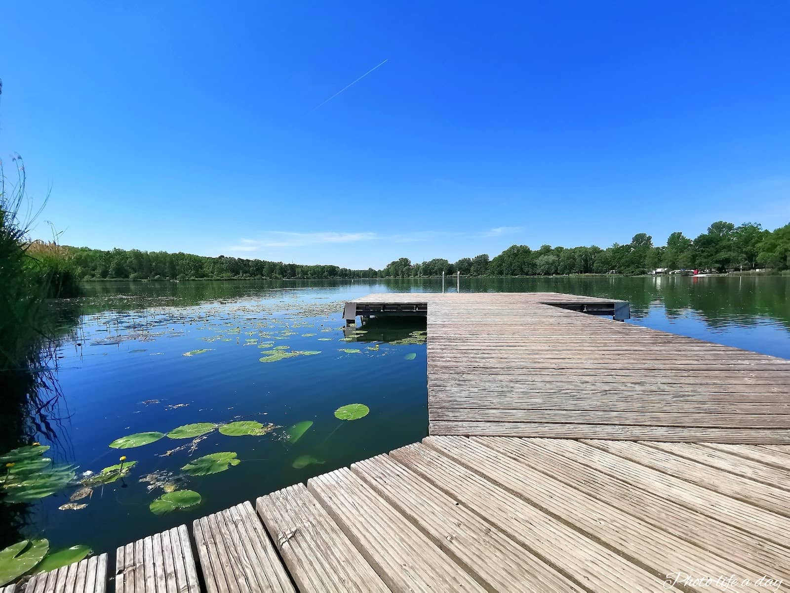 Lakefront Activities