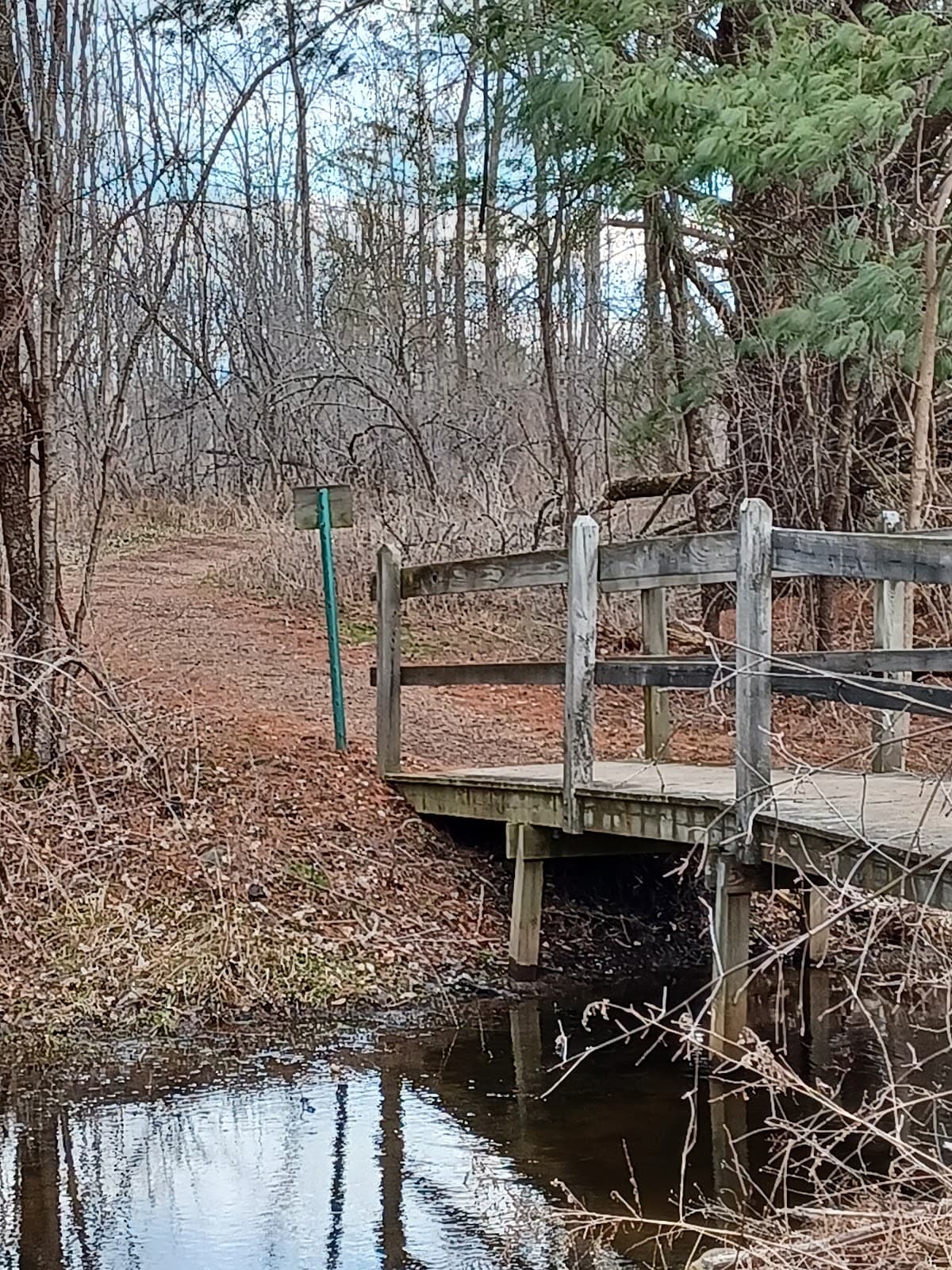 Sapsucker Woods (Cornell Lab of Ornithology) - Image 1