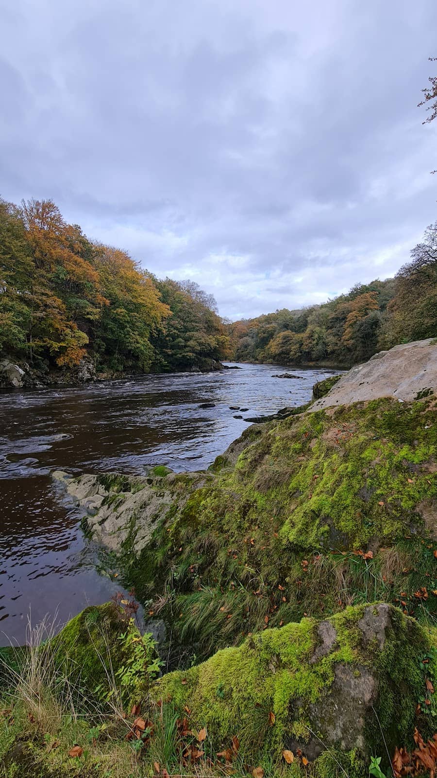 Family Adventure Trails