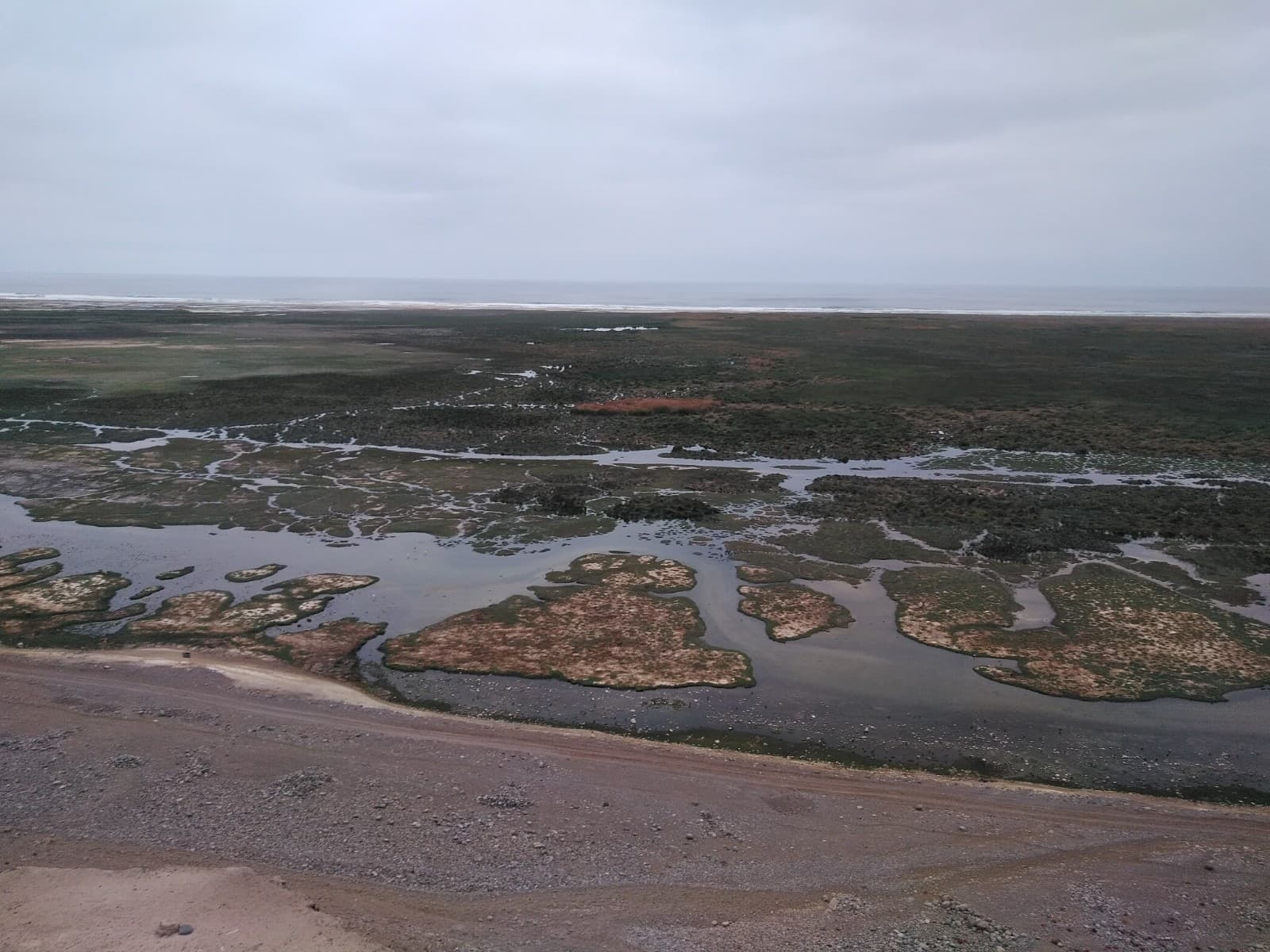 Ite Wetlands - Image 1