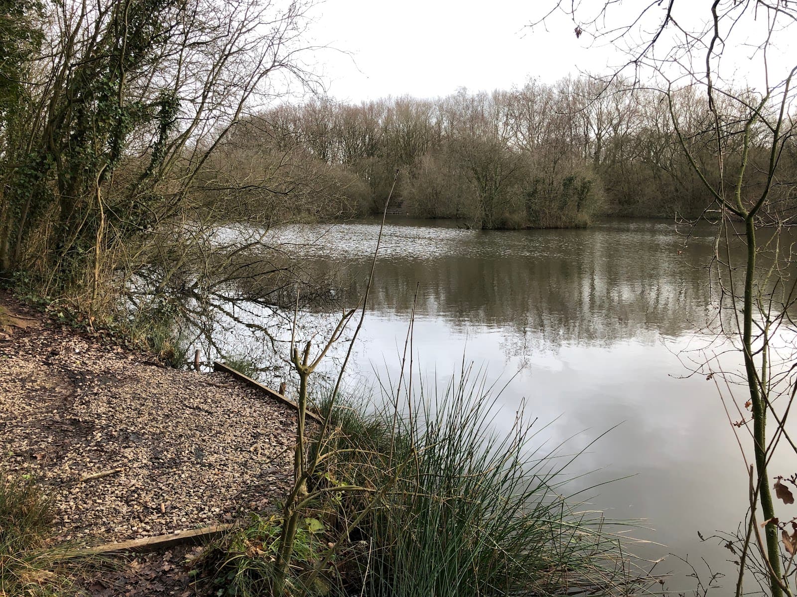 Rixton Clay Pits - Image 1