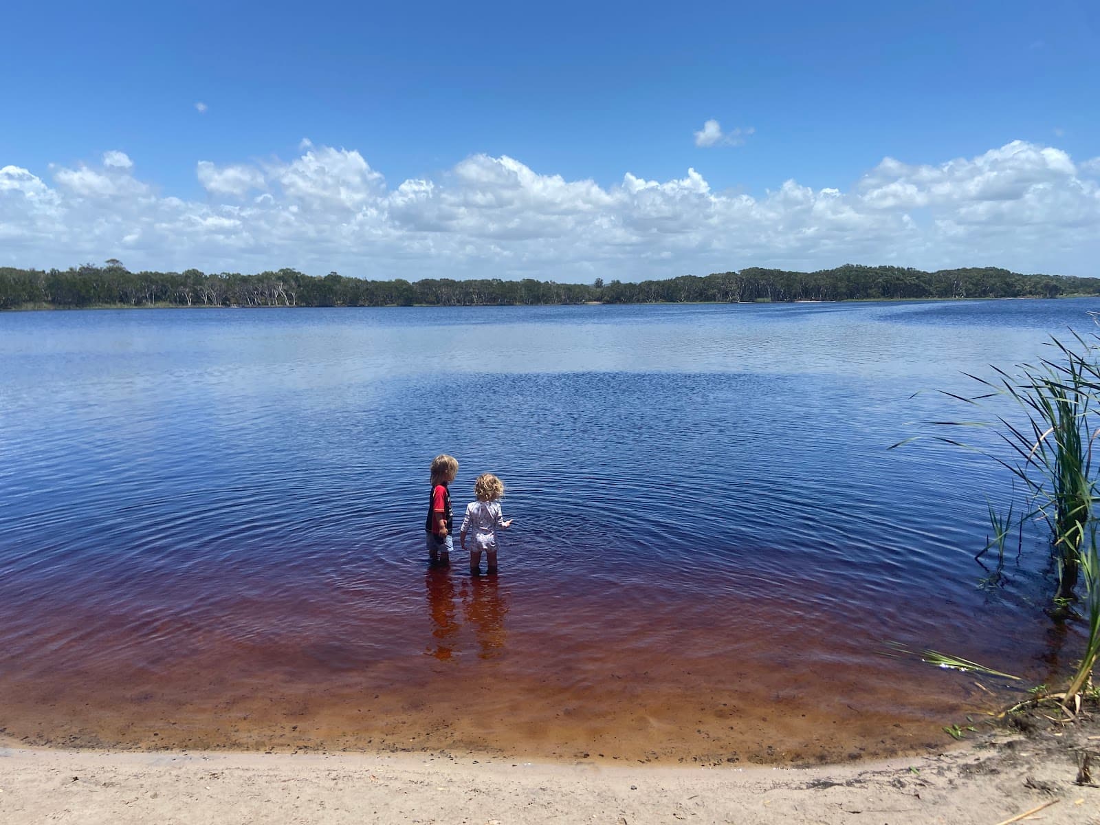 Lake Ainsworth (Lennox Head) - Image 1