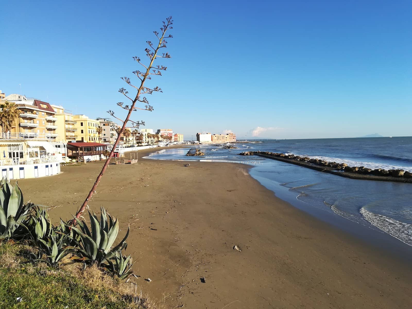 Authentic Sushi Experience