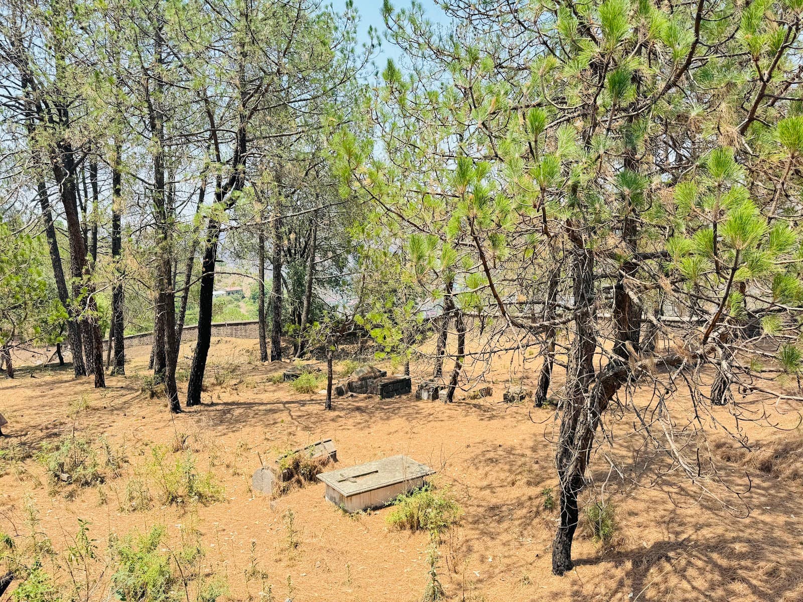 Panoramic Valley Views