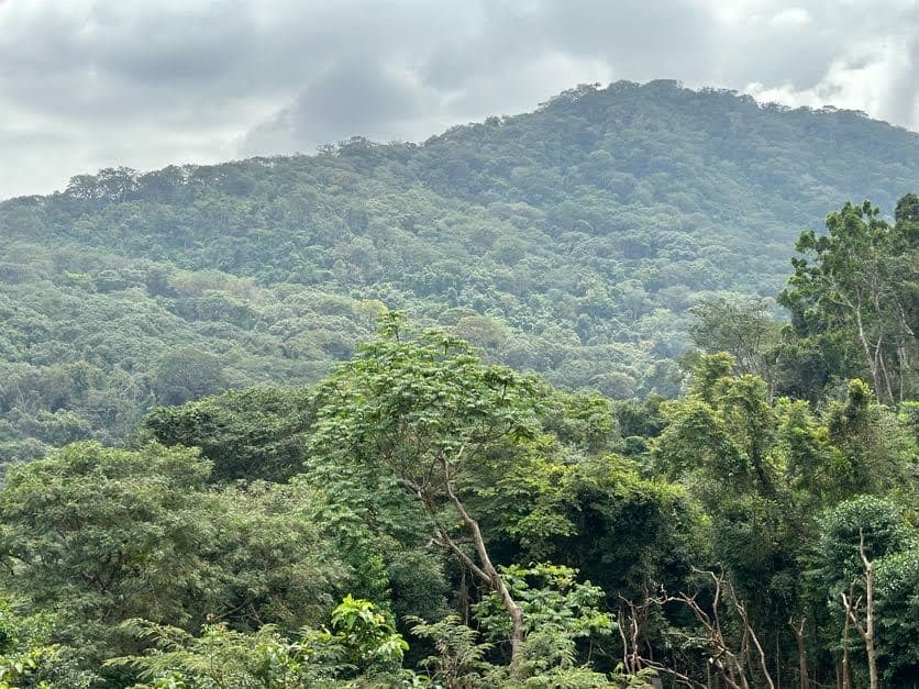Western Area Peninsula National Park - Image 1
