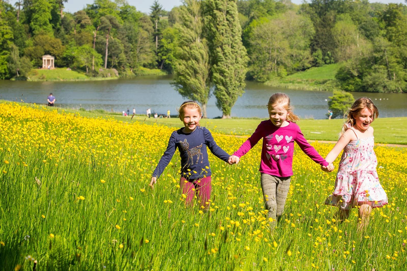 The Arboretum & Waterfall