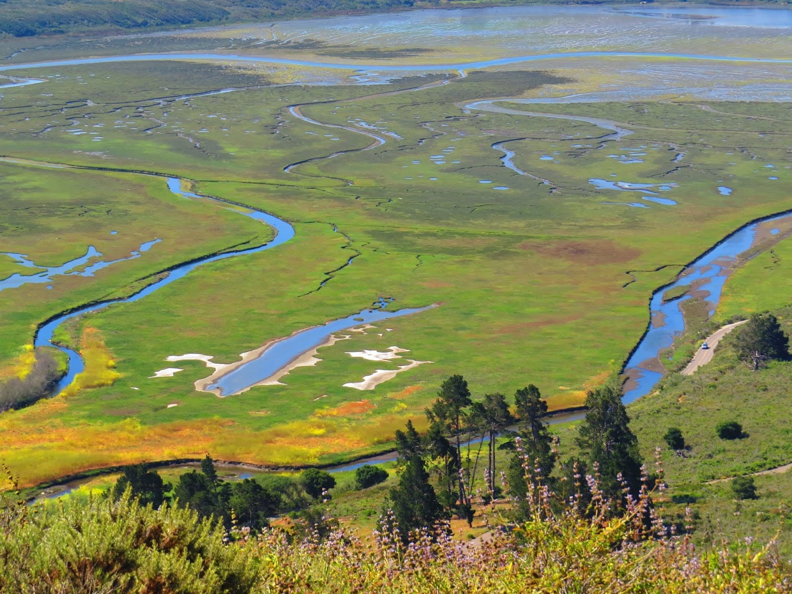 Black Hill - Image 1