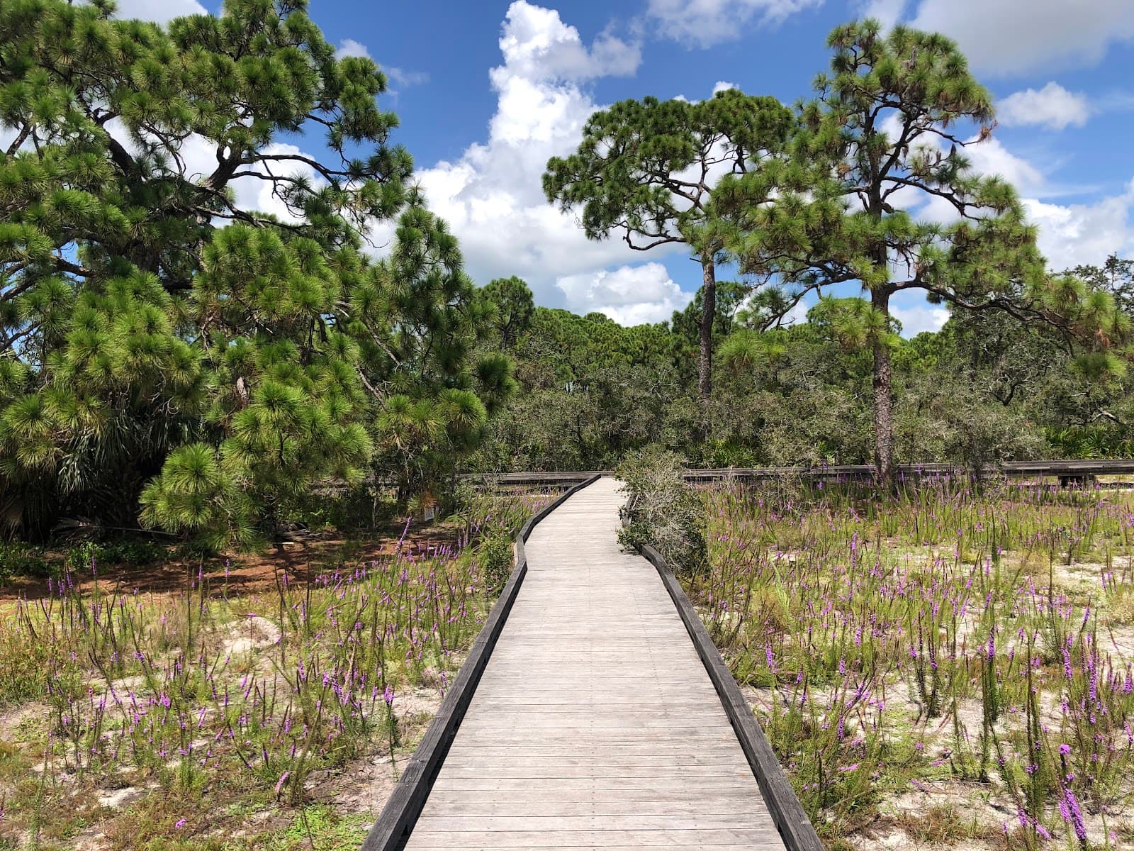 The Naples Preserve - Image 1