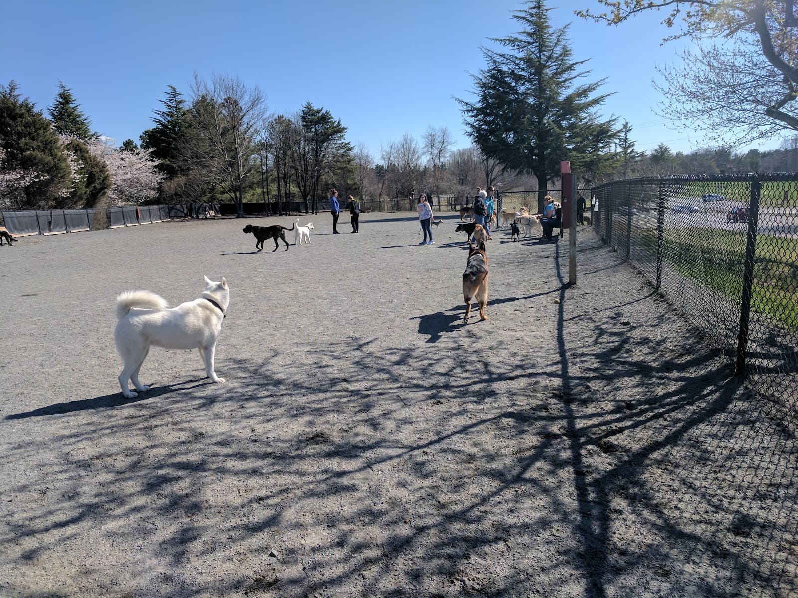 Baron Cameron Park - Image 1