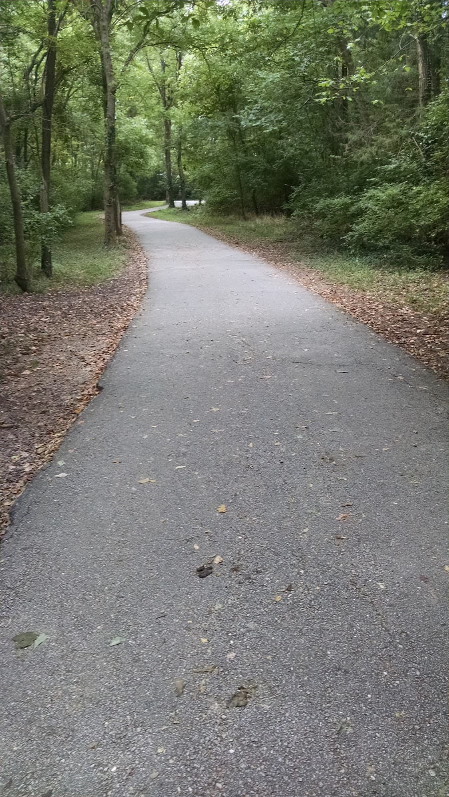 Galloway Creek Greenway - Image 1