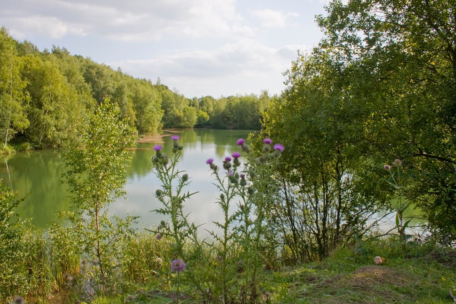 Swanwick Lakes Nature Reserve - Image 1