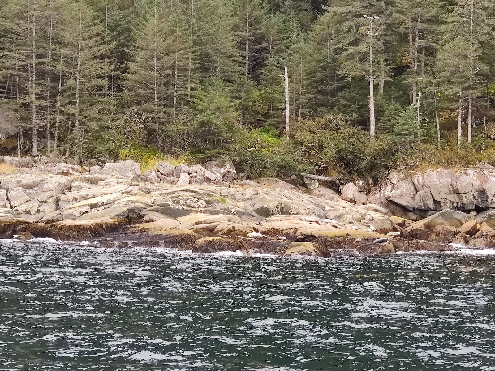 Rugged Island - Image 1