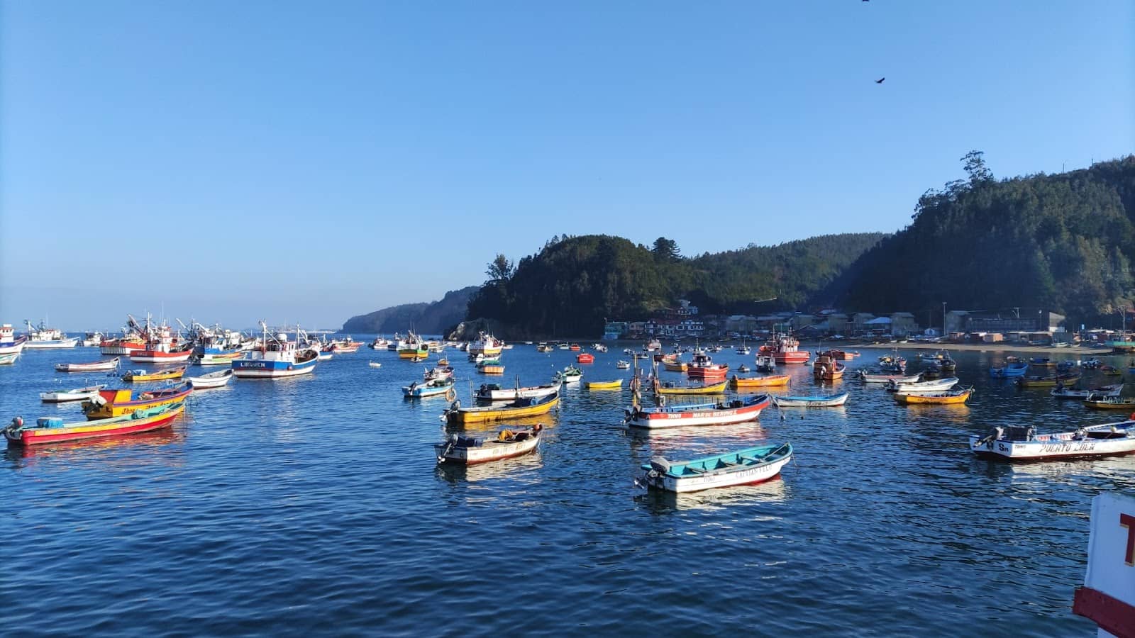 Scenic Coastal Views