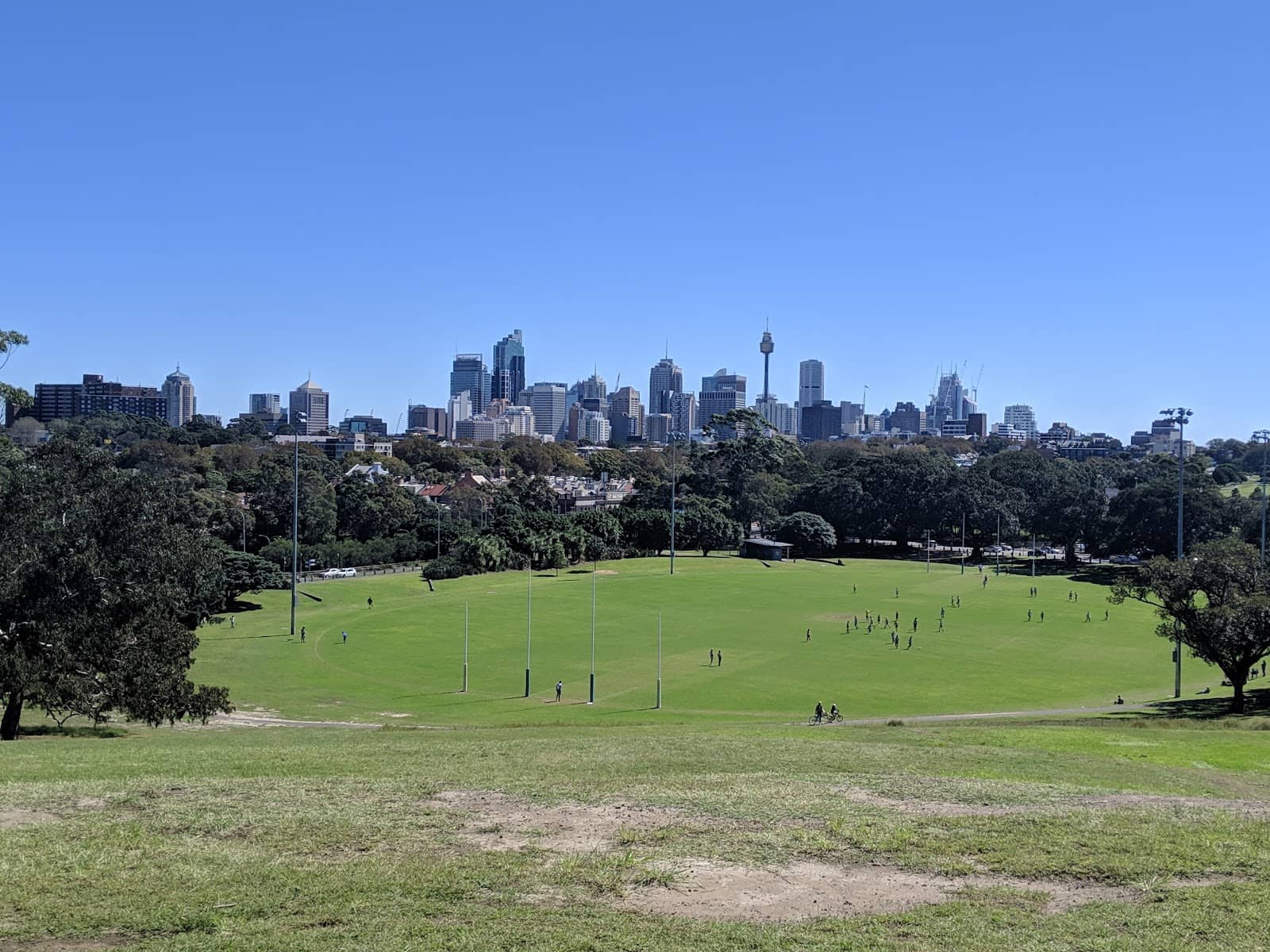 Hill Running & Training