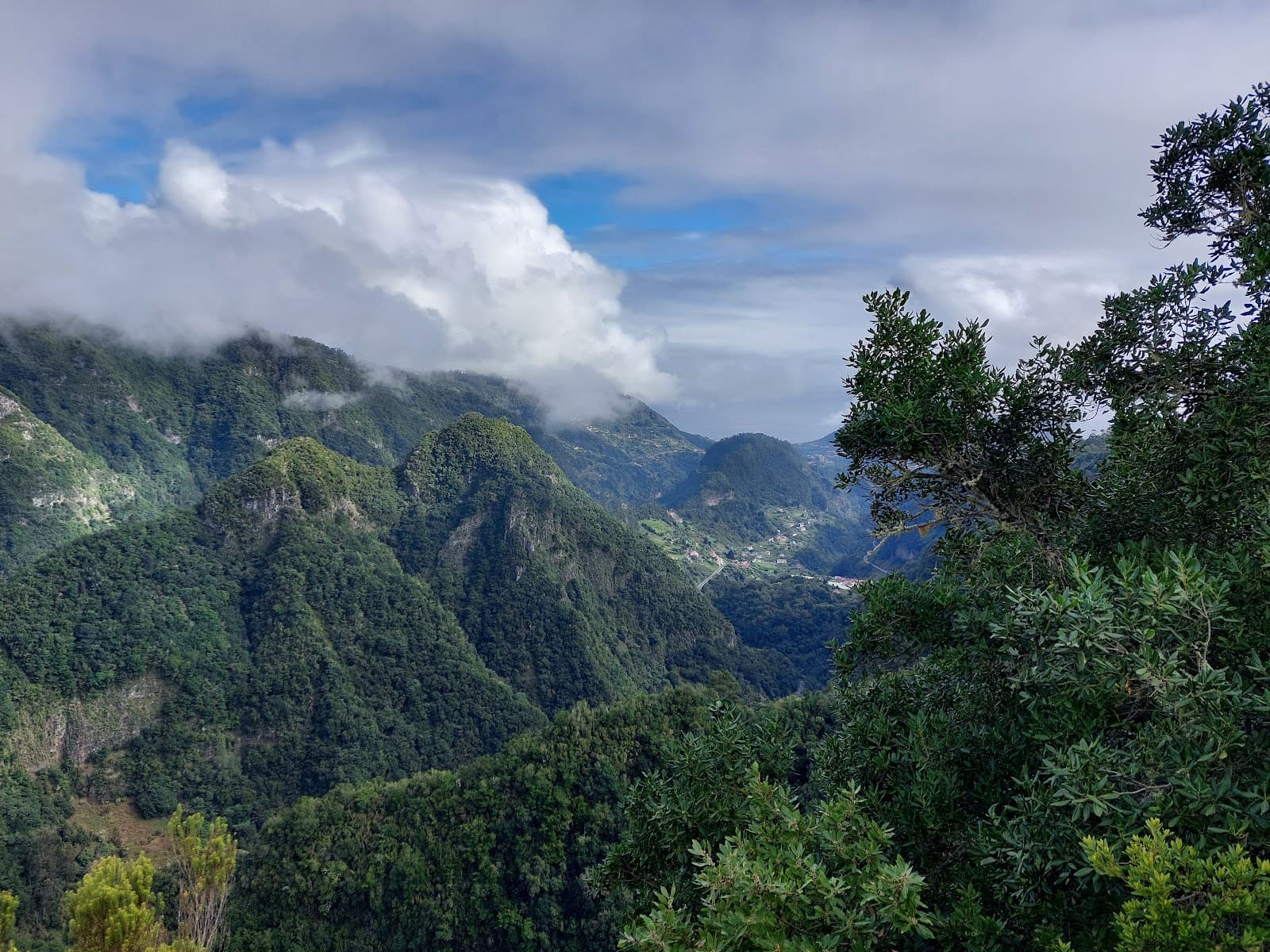 Quinta do Santo da Serra Park - Image 1