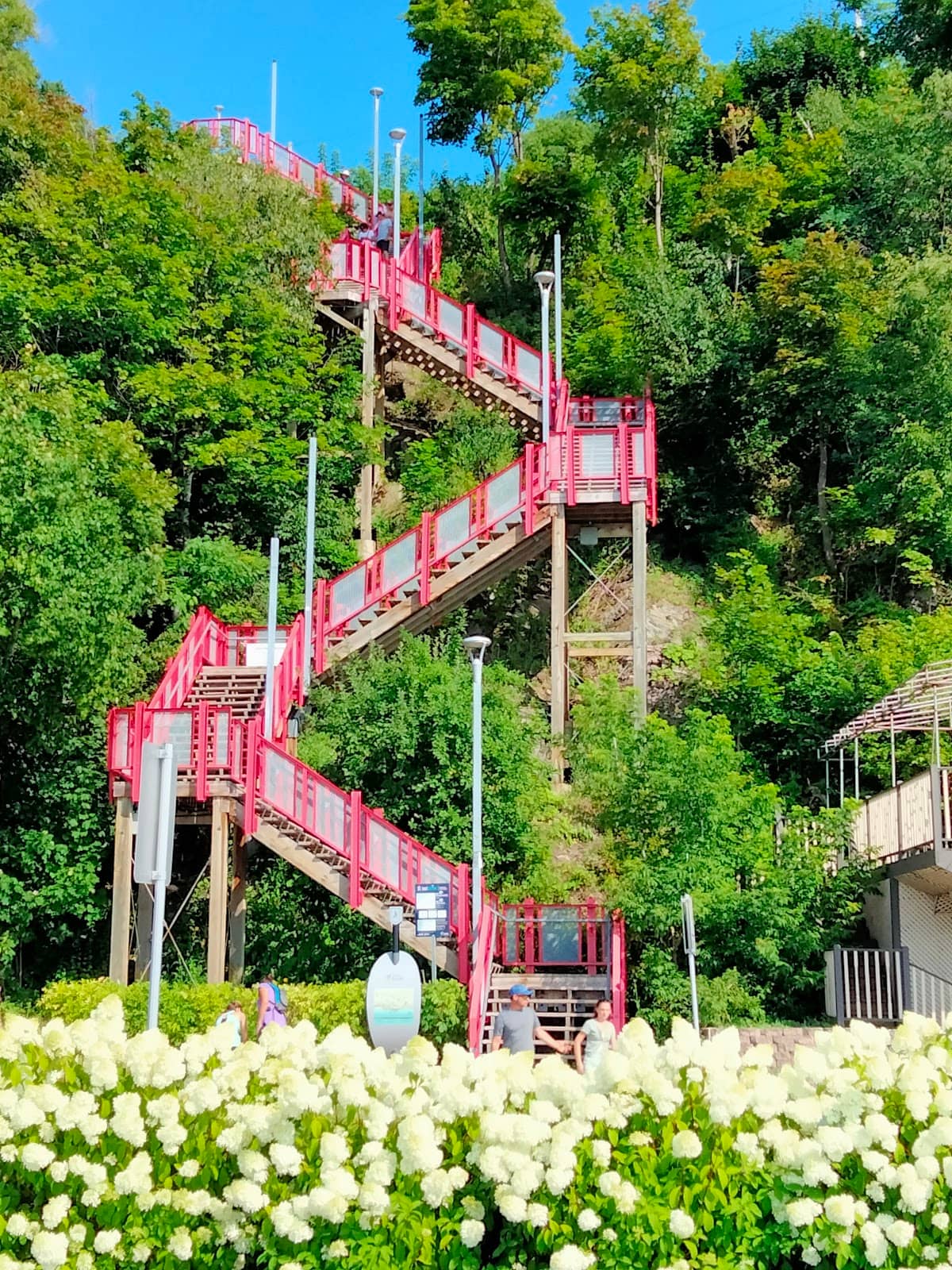 Vertical photo