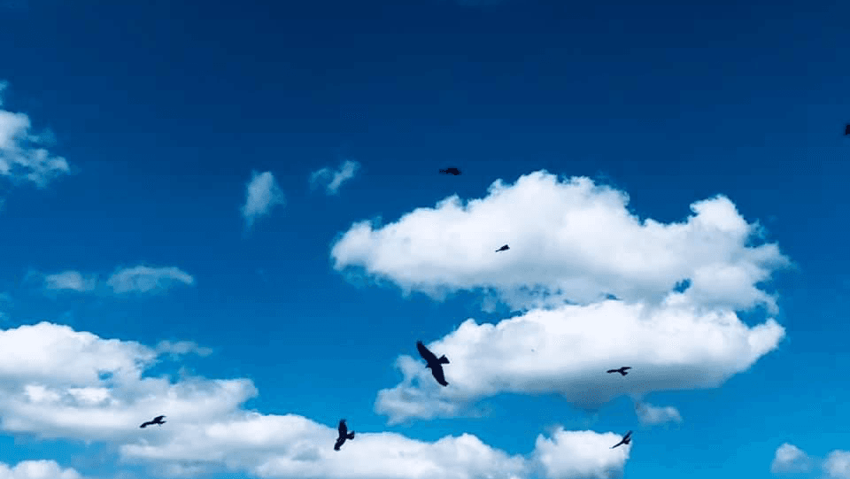 Potzberg Wildlife Park - Image 1