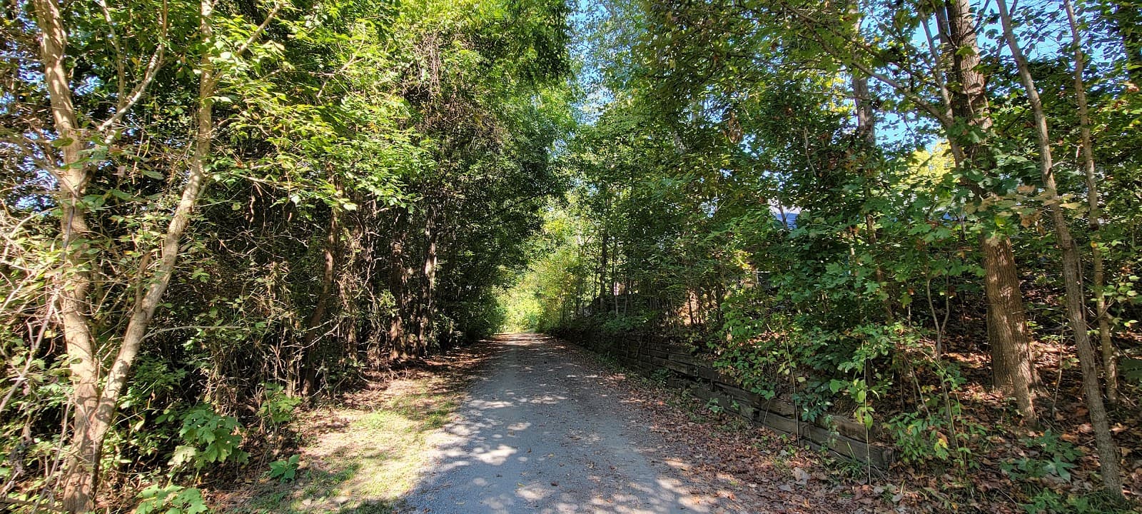 Mallard Creek Greenway - Image 1