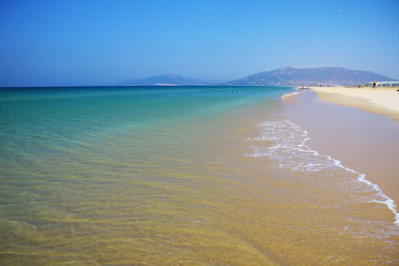 Los Lances Beach - Image 1