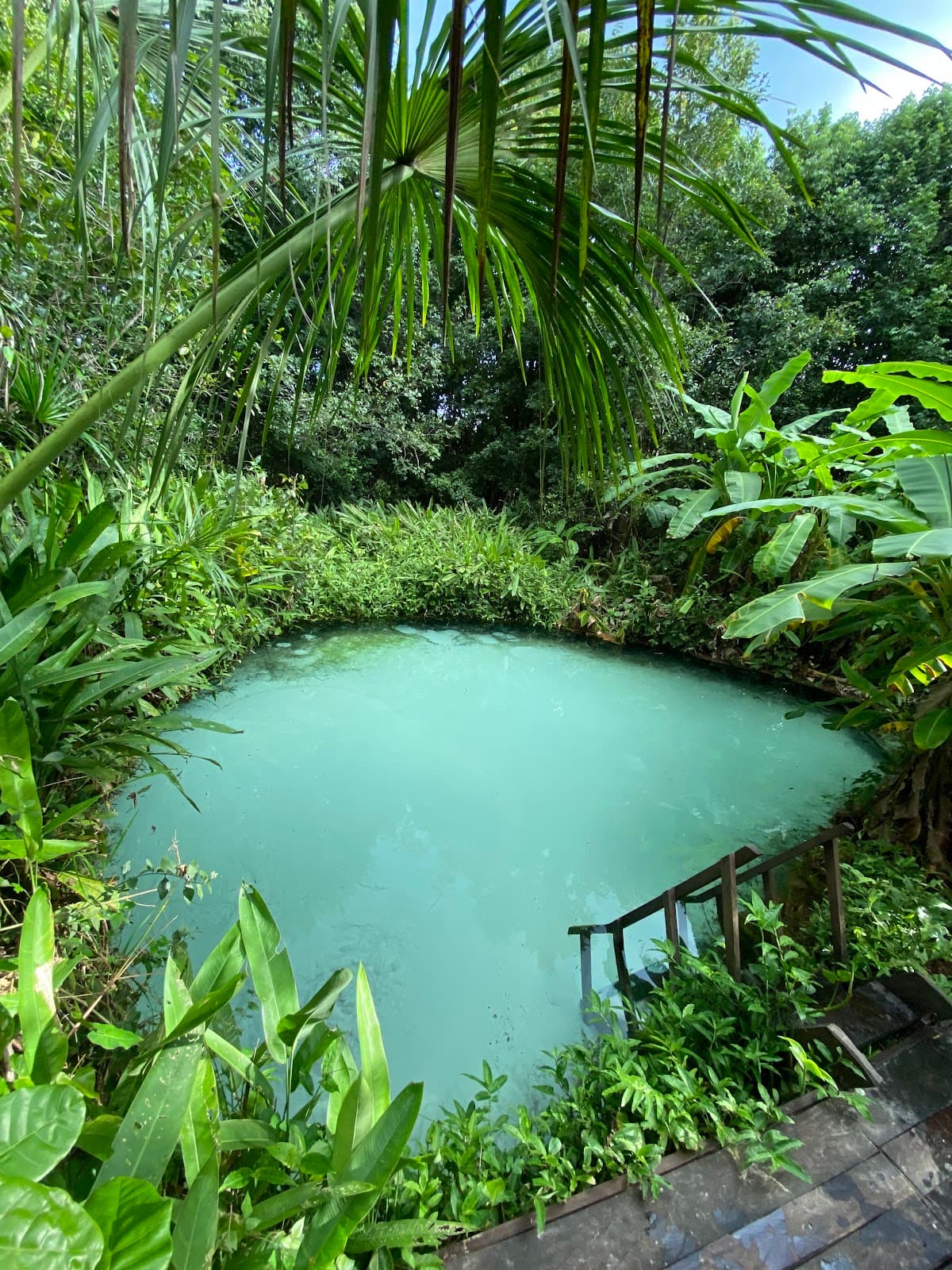 Fervedouro dos Buritis - Image 1