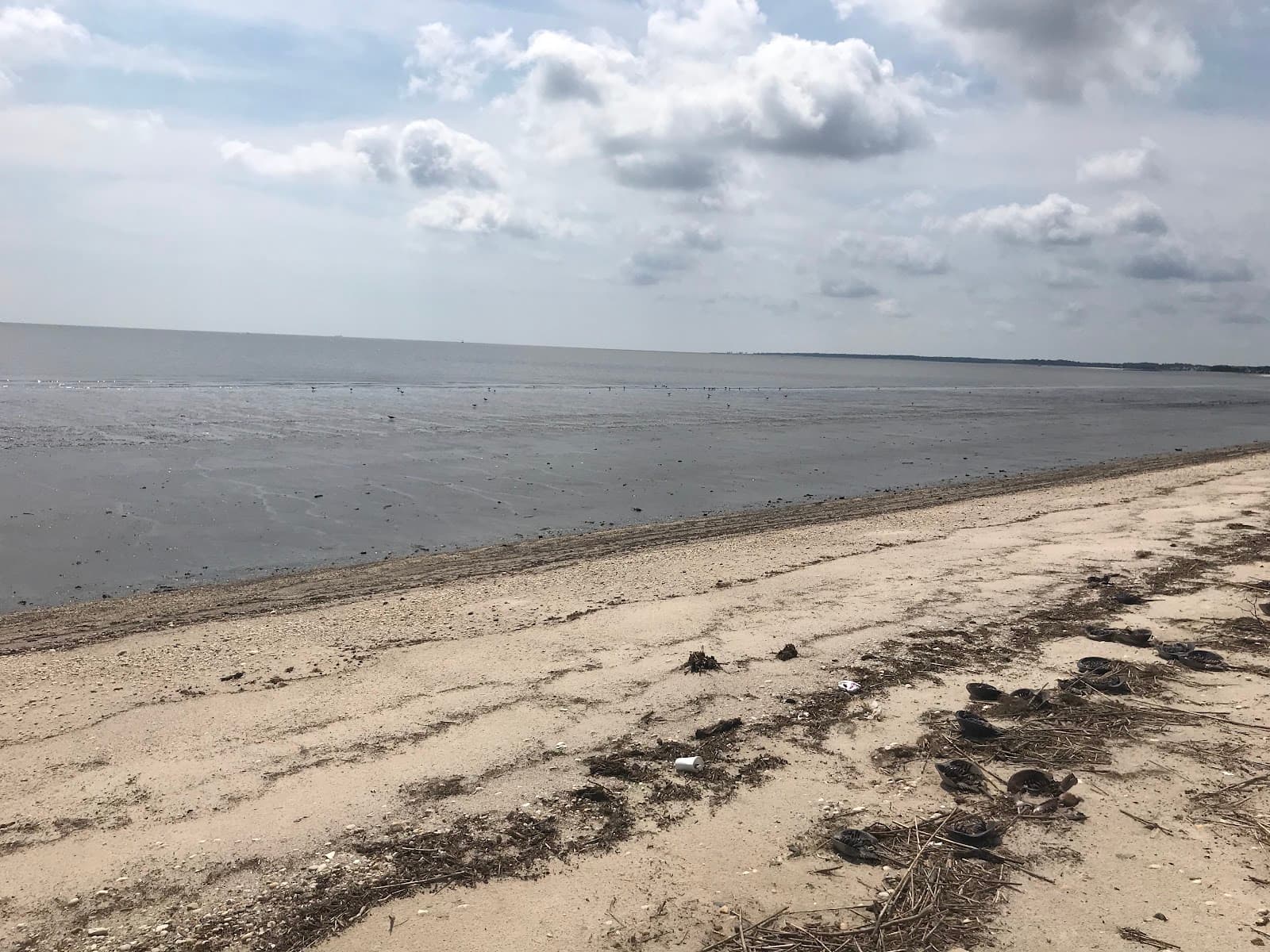 Ted Harvey Conservation Area - Image 1