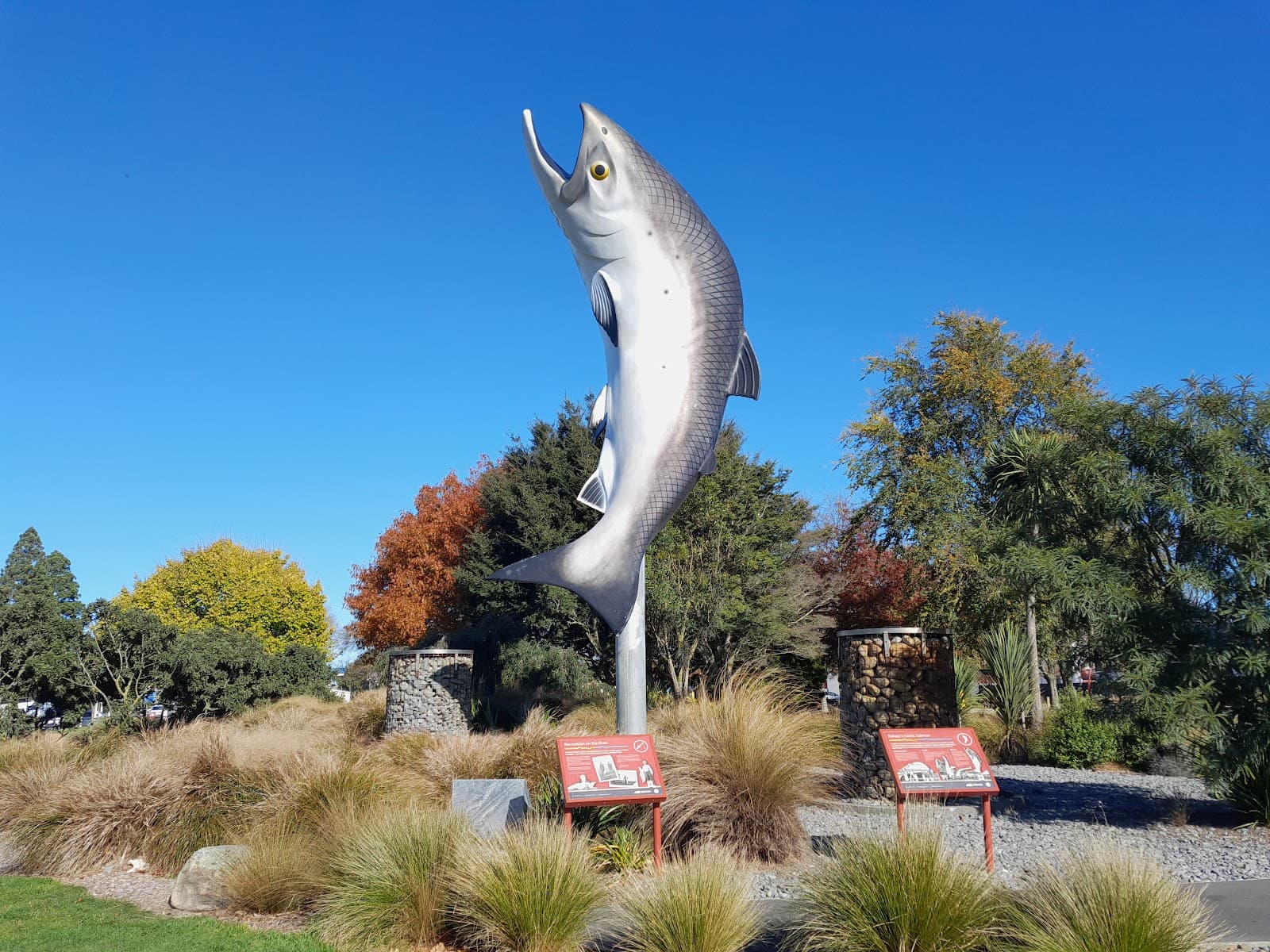 Rakaia Salmon Statue - Image 1