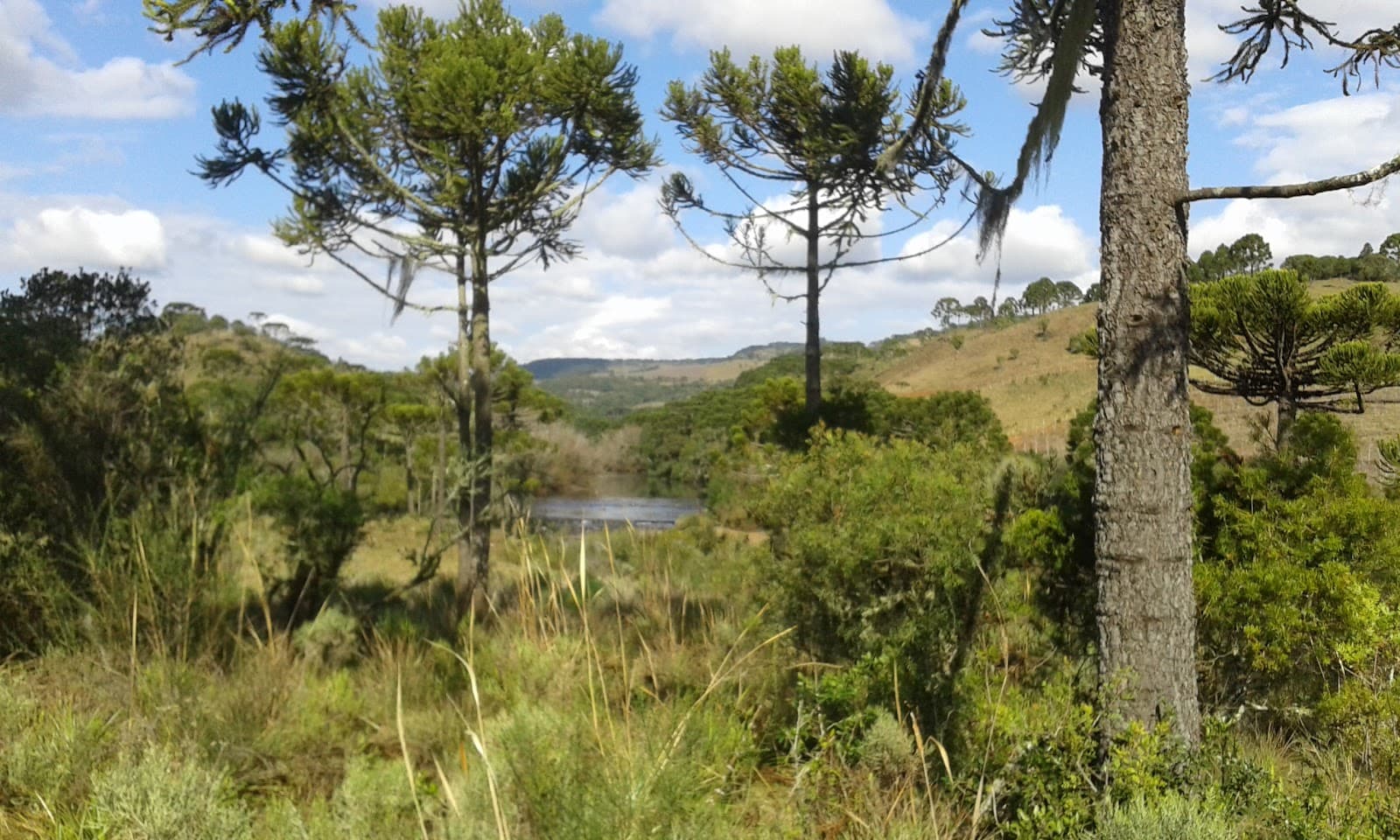 Vale do Pericó - Image 1