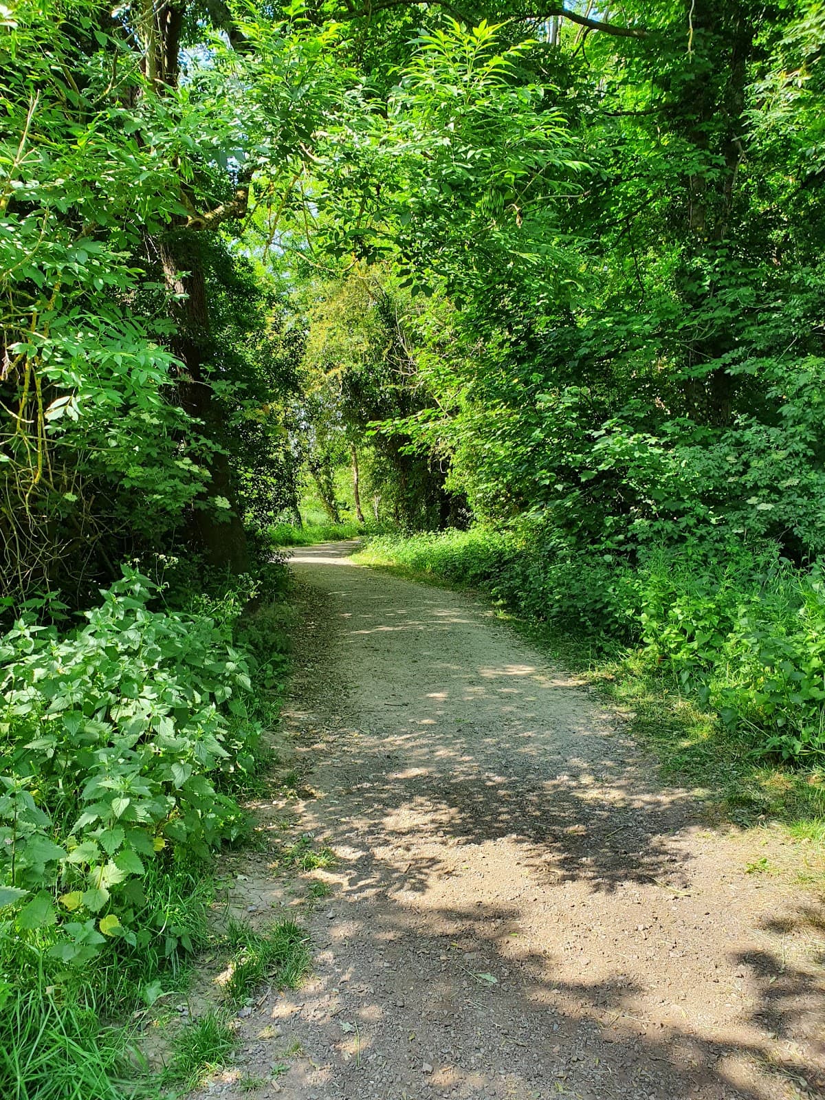 Walton Riverside & Thames Path - Image 1