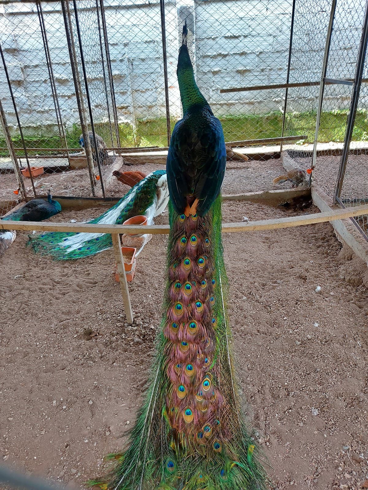 Zoológico de Santander - Image 1