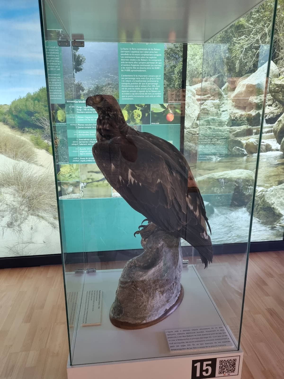 Interactive Children's Tours