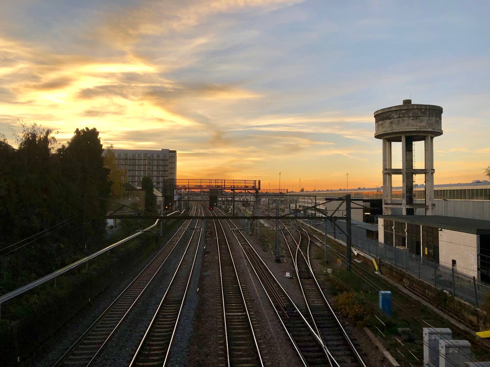 Halal Grocery Shopping
