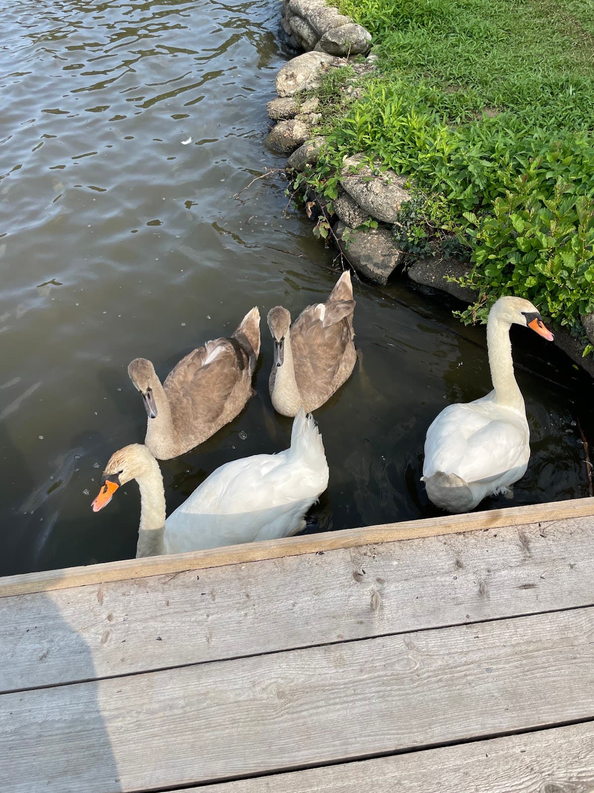 Hedgecourt Nature Reserve - Image 1