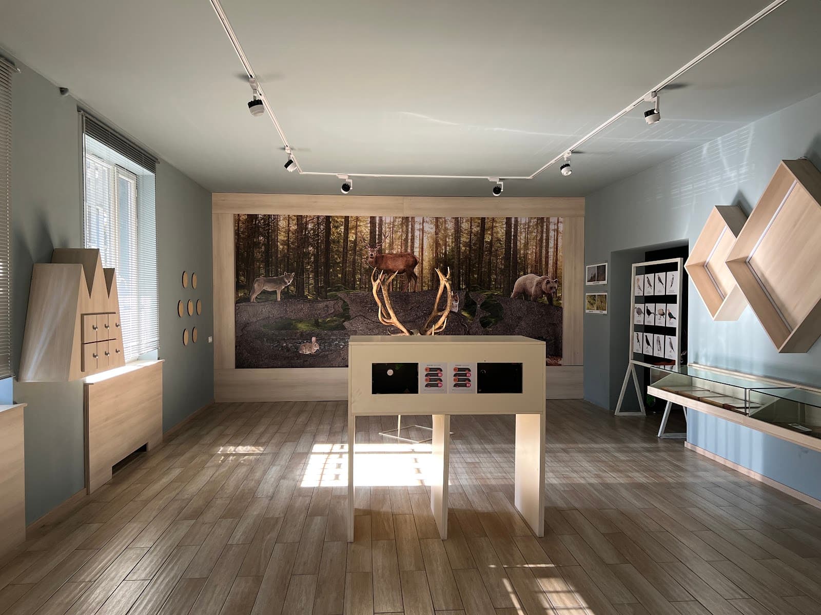 Borjomi-Kharagauli National Park Visitor Center - Image 1