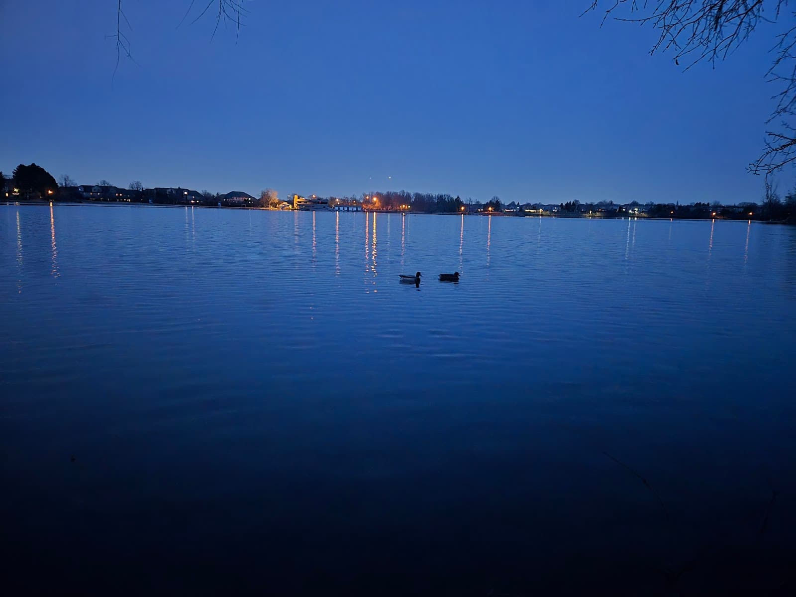 Professor's Lake Beach - Image 1
