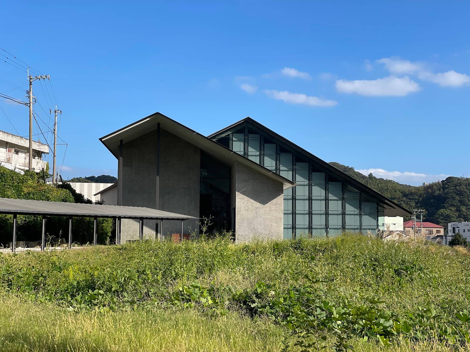 Natural History & Wetlands