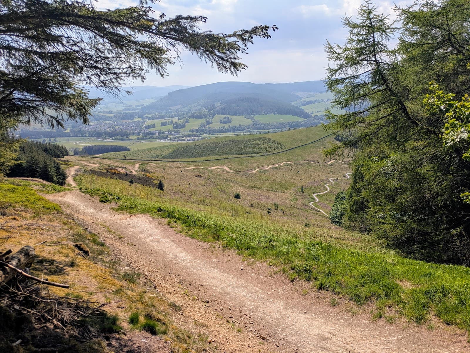 Glentress Forest (7stanes) - Image 1